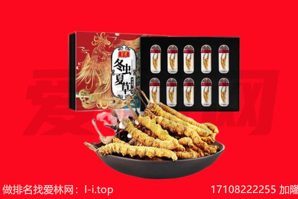 中山西区回收虫草.jpg